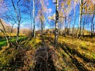 Działka rolno-budowlana Pogórska Wola gm. Skrzyszów - 10