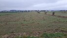 Targowisko-nieruchomosci-usługowa- - 4