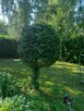 domek jezioro - 5