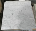 Płytka marmurowa Carrara Bianco 60x30x1 poler - 4