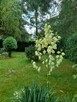 domek jezioro - 7