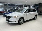 Škoda Fabia Ambition, PDC, Tempomat, Salon PL, 1-wł, FV-23%, gwarancja, DOSTAWA - 1