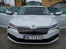 Škoda Superb SALON PL  pierwszy wł. 100% bezwypadkowa 31 tys. km. - 14