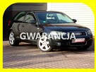 Audi A3 BI XENON /Klimatronic /1,6 /MPI /2004 - 1