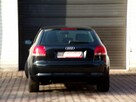 Audi A3 BI XENON /Klimatronic /1,6 /MPI /2004 - 13