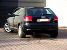 Audi A3 BI XENON /Klimatronic /1,6 /MPI /2004 - 14