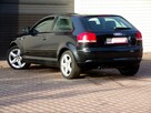 Audi A3 BI XENON /Klimatronic /1,6 /MPI /2004 - 15