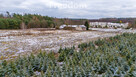 Działka budowlana w Osieczku – cisza i natura - 5