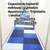 Skuteczne czyszczenie wykładzin i tapicerki meblowej Gdańsk - 2