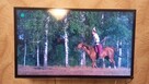 Telewizor Samsung UE40ES6100W - 4