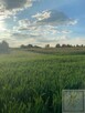Działka budowlana Poznań Poznań-Stare Miasto, Morasko - 4