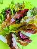 Sałata Musztardowa Tatsoi Pac Choi czerwona sałaty nasiona k - 7