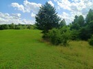 Sprzedam działki 15 km od Olsztyna - 9