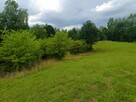 Sprzedam działki 15 km od Olsztyna - 8