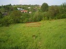 59 arów -działka rolna Golkowice - 3