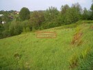 59 arów -działka rolna Golkowice - 4