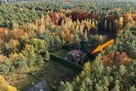Wyjątkowy, energooszczędny, z klimatem, wśród lasu - 3