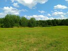 Sprzedam działki 15 km od Olsztyna - 7