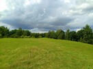 Sprzedam działki 15 km od Olsztyna - 6