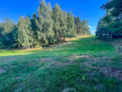 Działka budowlana - 2000m2 - Kuczów - 4