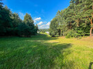 Działka budowlana - 2000m2 - Kuczów - 6