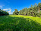 Działka budowlana - 2000m2 - Kuczów - 7