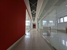Lokal użytkowy 296,55 m² – ul. Chrobrego 17 - 1