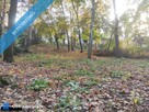 Łomianki, Dąbrowa Leśna, działka 1500m2 - 2