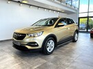 Opel Grandland X 1.2Turbo 130KM M6 2018/2019 r., salon PL, 115tys.km przebiegu - 4