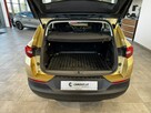 Opel Grandland X 1.2Turbo 130KM M6 2018/2019 r., salon PL, 115tys.km przebiegu - 14