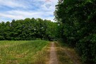 Działka przy jeziorze, blisko Pniew - 10