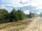 Działka budowlana 1007m2, Nowe Grochale - 5