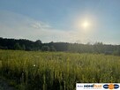 Działka budowlana blisko lasu, idealna inwestycja. - 3