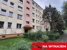 Na wynajem 2-pokojowe mieszkanie z osobną kuchnią - 1