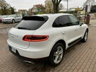 Macan 252 KM niski przebieg automat skóry - 8