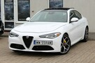 Alfa Romeo Giulia 2.0 Turbo Kamera Cofania Automat Panorama Nawigacja Skóra Tempomat - 3