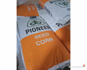 Nasiona kukurydzy Pioneer P8834 P89699 P8329 P8904 P9241 itd - 7