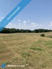 Sprzedam działki nad jeziorem - 7