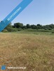Sprzedam działki nad jeziorem - 10
