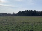 Działki rolne w Pątnowie Legnickim - 9