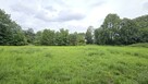 Działka gospodarstwo Bartoszowa gm. Borów - 2