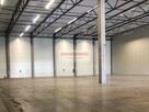 HALA MAGAZYN 1864 m2 + BIURO 214 m2 BALICE TIR ENG - 3