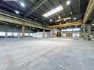 MAGAZYN RYBITWY od 1000 do 3000 m2 duży plac TIR - 2