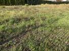 Błonie, budowlana, ogrodzona, woda,kanal.na działce, prąd,gaz - 4