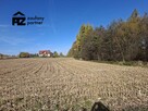 Działka budowlana Bodzanów gm. Biskupice - 3