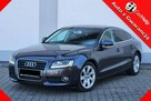 Audi A5 Nowy Rozrząd Ledy Navi Org.szyby
