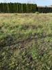 Błonie, budowlana, ogrodzona, woda,kanal.na działce, prąd,gaz - 5