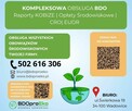 Kompleksowa obsługa BDO, KOBiZE, opłaty środowiskowe – Pomoc - 5