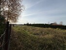 Błonie, budowlana, ogrodzona, woda,kanal.na działce, prąd,gaz - 1
