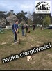 Szkolenie Psów Gdańsk Gang Urwisów - 3